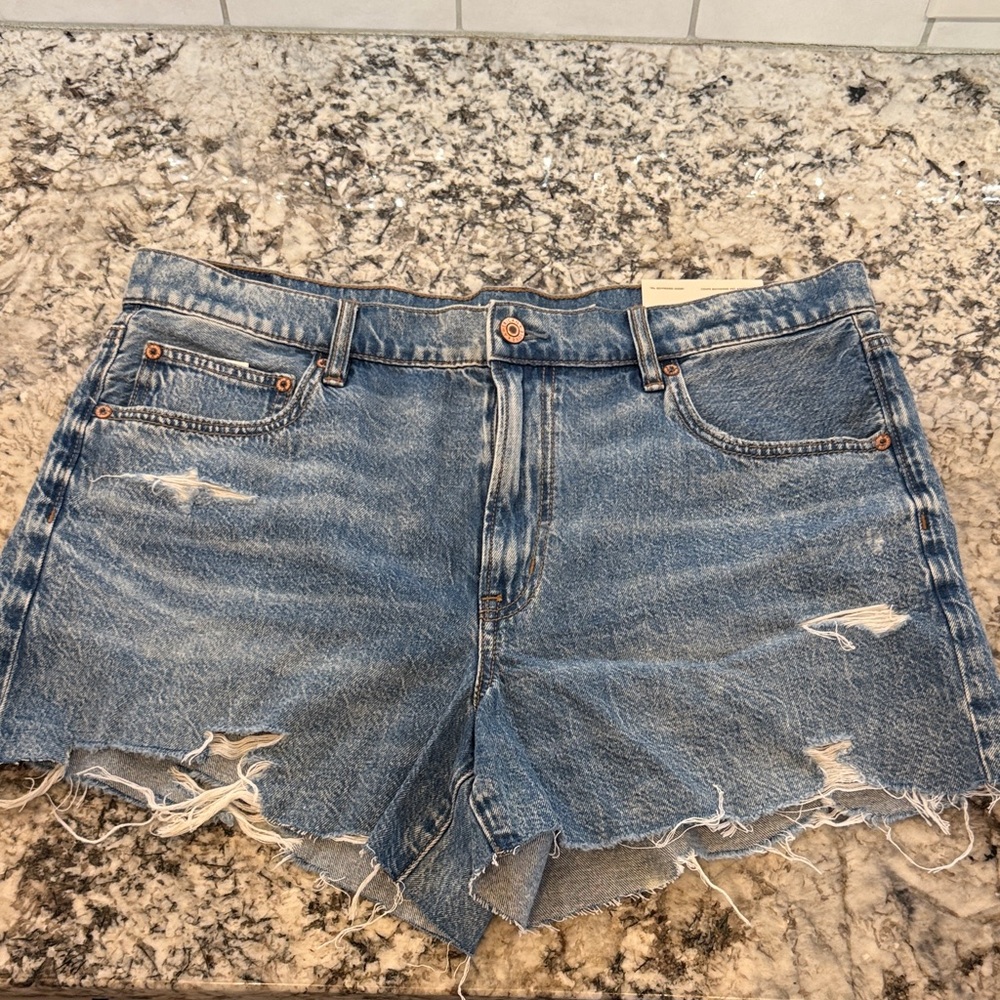 American Eagle Outfitters Blue Distressed Jean Shorts